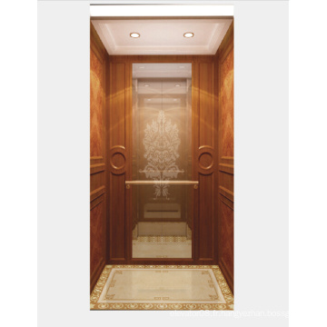 Miroir Etching Stainless Steel Home Elevator